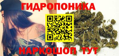 стафф Пушкино