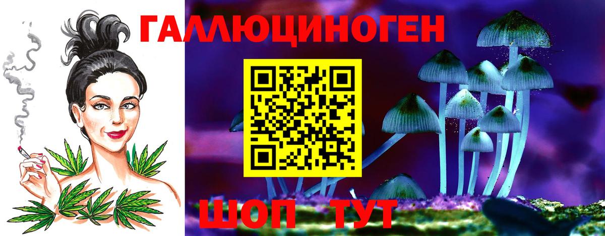 Псилоцибиновые грибы Psilocybe  Вход с VPN  Галлюциногенные грибы мицелий  Рассказово 